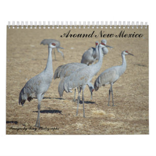 Around New Mexico Calendar