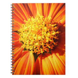 Around the Center Notebook