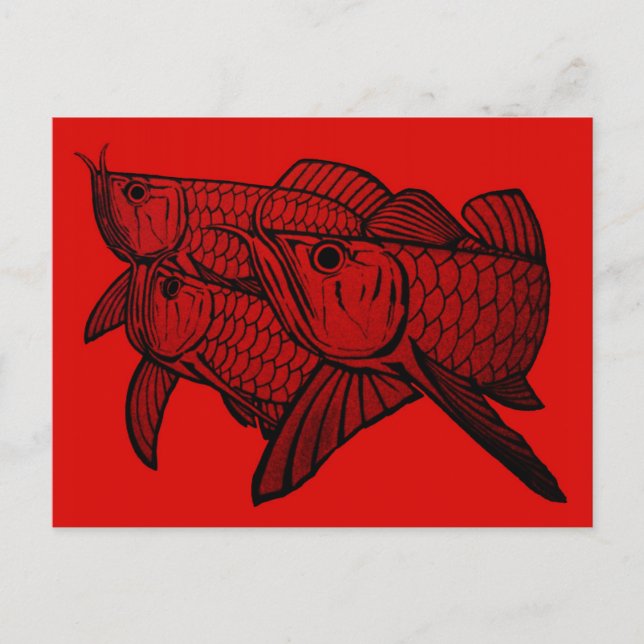 Arowana Post card (Front)