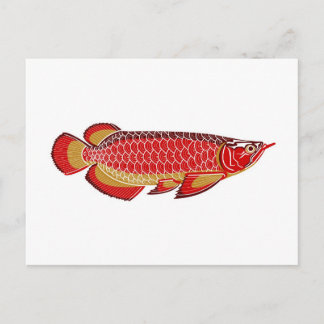 arowana postcard