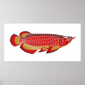 arowana poster