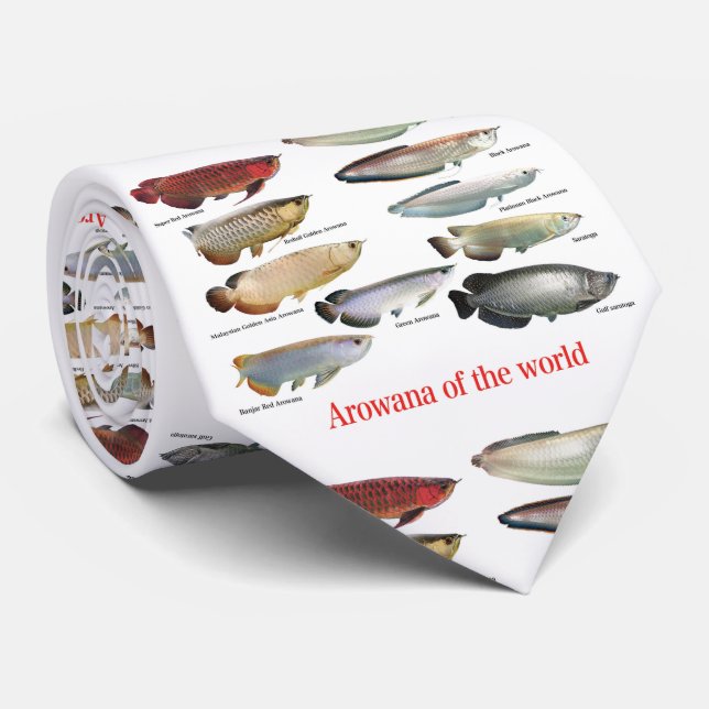 Arowana Tie (Rolled)