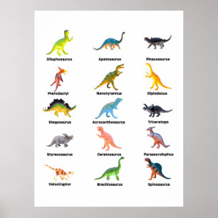 Array of Dinosaurs Poster