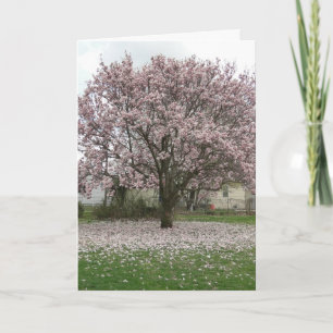 Arrival of Spring, Magnolia Tulip Tree Card