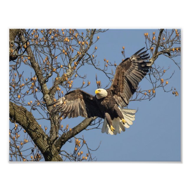 Arrival Photo Print (Front)