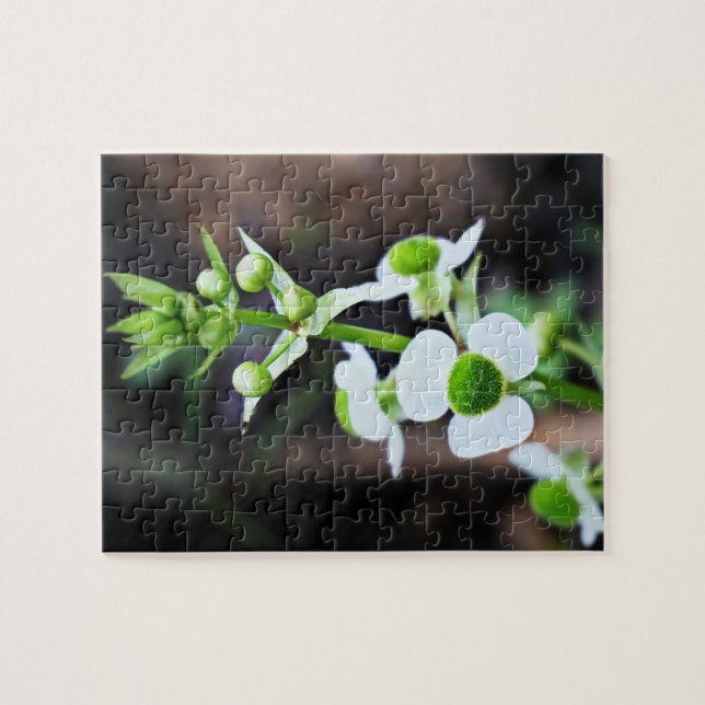 Arrowhead White Flower Nature Art Jigsaw Puzzle (Horizontal)