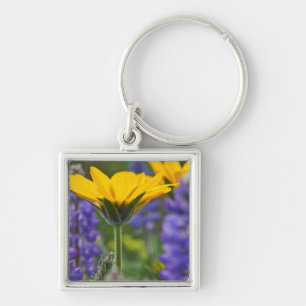 Arrowleaf Balsam Root and Lupine in Spring Bloom Key Ring