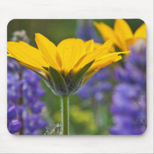 Arrowleaf Balsam Root and Lupine in Spring Bloom Mouse Pad