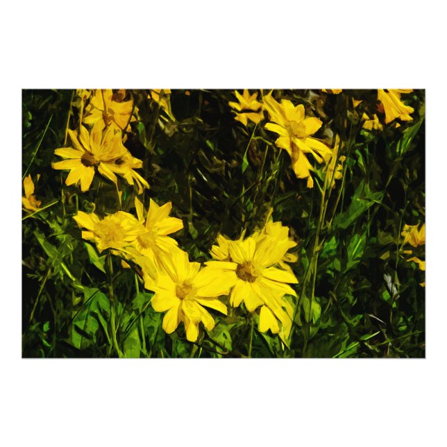 Arrowleaf Balsamroot Yellow Wildflower Abstract Photo Print (Front)