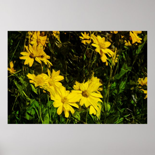 Arrowleaf Balsamroot Yellow Wildflower Abstract Poster (Front)
