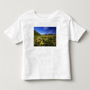 Arrowleaf balsomroot covers the praire with toddler T-Shirt