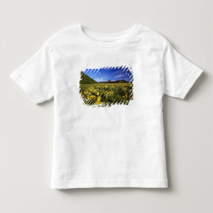 Arrowleaf balsomroot covers the praire with toddler T-Shirt