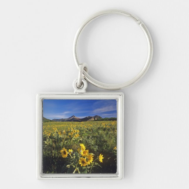 Arrowleaf balsomroot wildflowers in Waterton 2 Key Ring (Front)