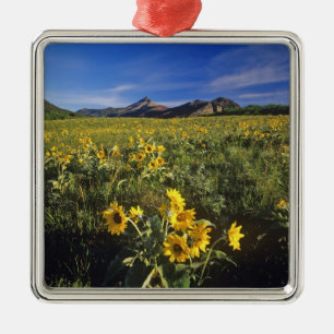 Arrowleaf balsomroot wildflowers in Waterton 2 Metal Ornament