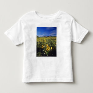 Arrowleaf balsomroot wildflowers in Waterton 2 Toddler T-Shirt