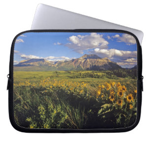 Arrowleaf balsomroot wildflowers in Waterton Laptop Sleeve