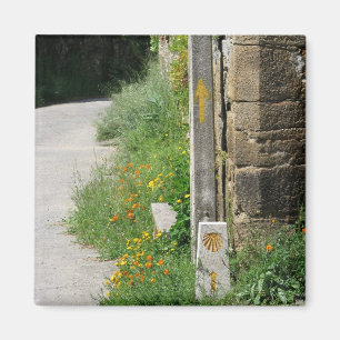 Arrows and Shell Magnet