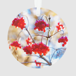 Arrowwood Berries Ornament