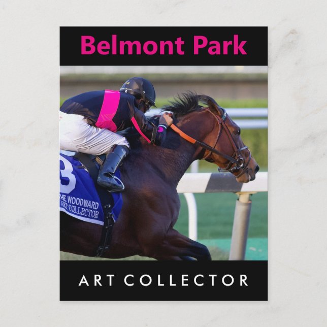 Art Collector & Saez Postcard (Front)