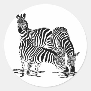 Art Deco  Zebra Classic Round Sticker