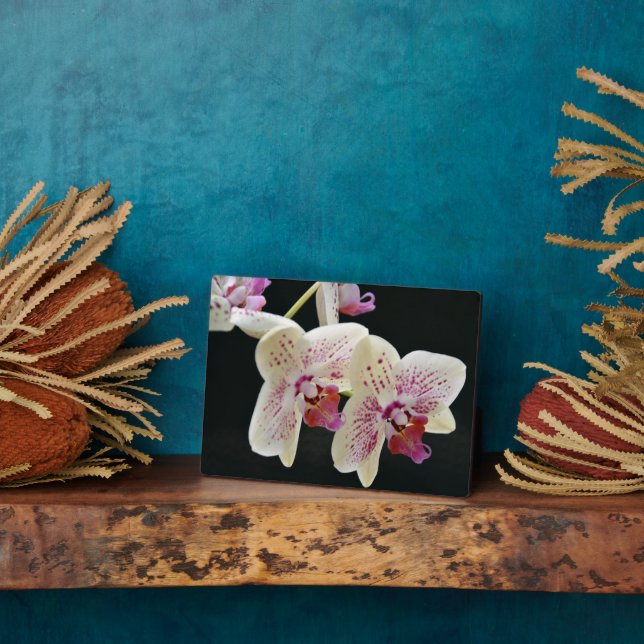 Art Decor Plaque-Orchids Plaque (Side)