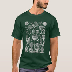 Art Forms of Nature, Haeckel T-Shirt