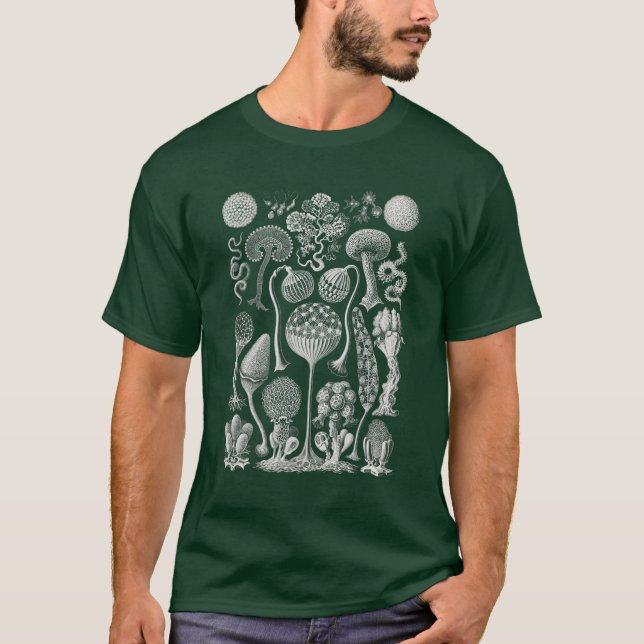 Art Forms of Nature, Haeckel T-Shirt (Front)