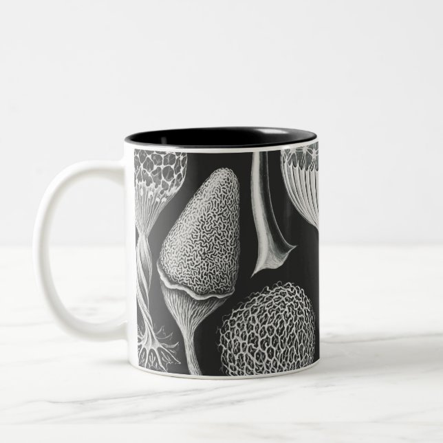  Art forms of nature   Two-Tone Coffee Mug (Left)