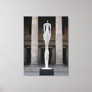 Art Installation at Teatro Degollado, Guadalajara Canvas Print