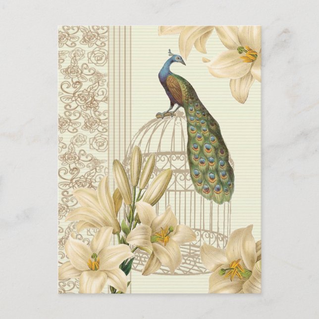 art nouveau  french lily vintage birdcage peacock postcard (Front)
