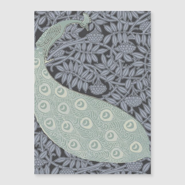 Art Nouveau Peacock Classic Vintage Bird (Front)