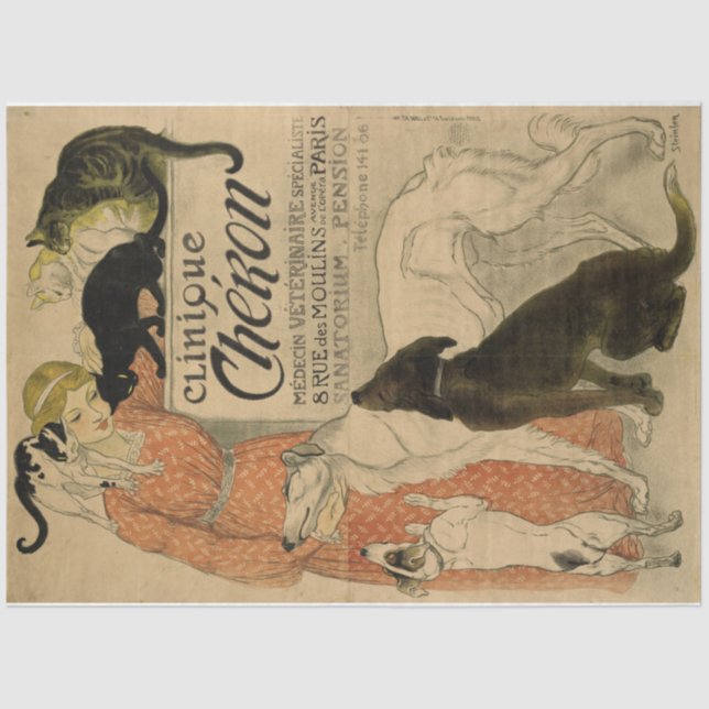 Art Nouveau Poster 21 Pets Lady Decoupage Tissue Paper (Front)