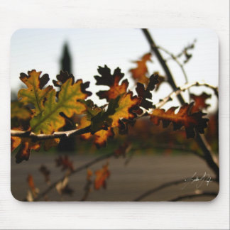 Art Nouveau Sapling Mouse Pad