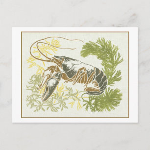 Art Nouveau Sea Creature Illustration - Lobster Postcard