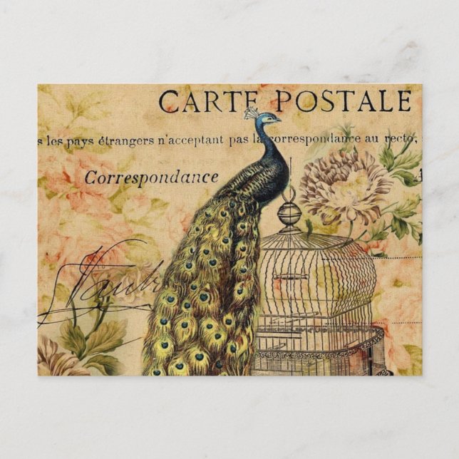 art nouveau vintage peacock french provincial postcard (Front)