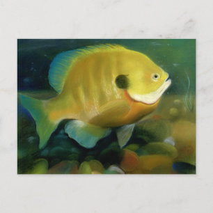 Art of Conservation Stamp - 2011 Postcard