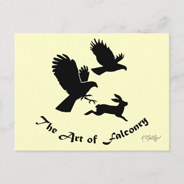 Art of Falconry - Harris Hawks Postcard (Front)