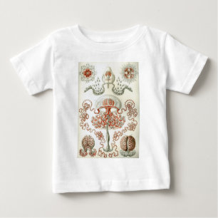 Art of Nature Vintage Ernst Haeckel Anthomedusae Baby T-Shirt
