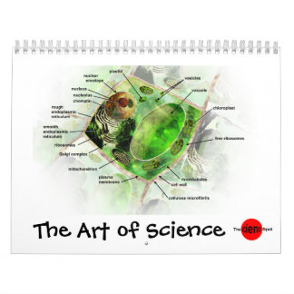 Art of Science calendar