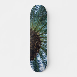 Art Of The Palm Tree Skateboard
