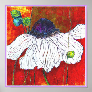 ART-ON-CANVAS: 'White Night Anemone' 15"x15" Poster