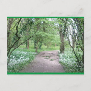 Art Postcard Woodland Path 1