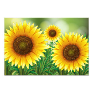 Art Print-Sunflowers Photo Print