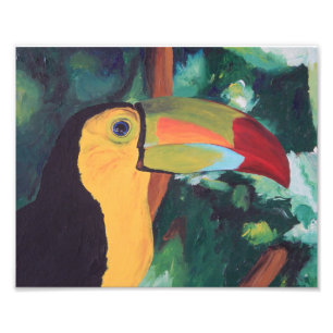 Art Print: Toucan Photo Print