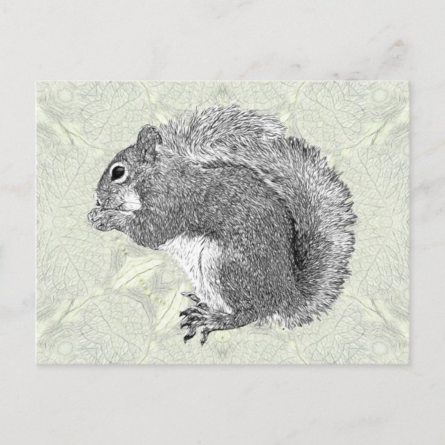 Art Squirrel Postcard (Front)