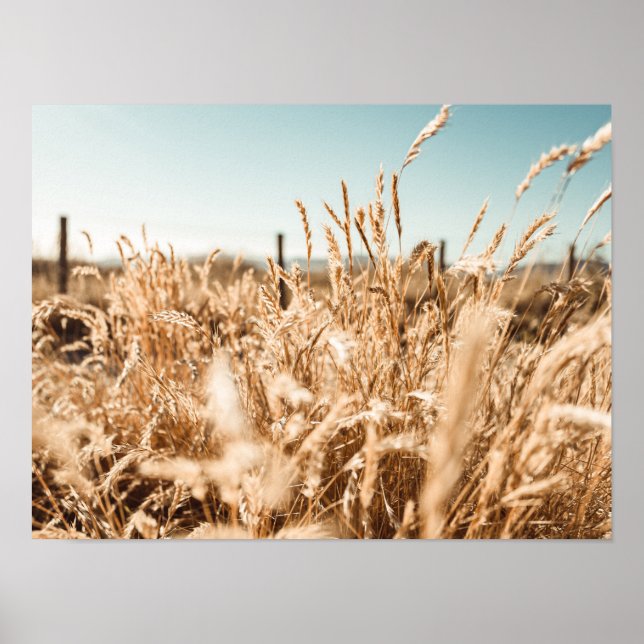 Art & Wall Décor > Posters & Prints (Front)