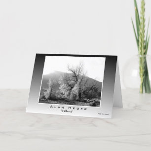 ART WEST Greeting Card - "Wildwood"