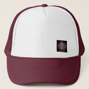 artefacts - fly on the wall of enlightenment hat