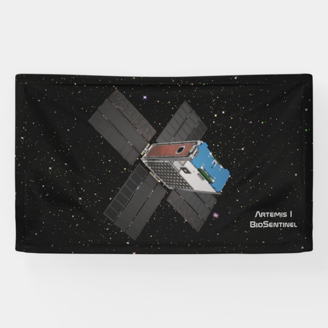 Artemis BioSentinel CubeSat Banner (Horizontal)