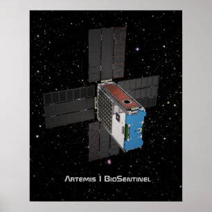 Artemis BioSentinel CubeSat Poster